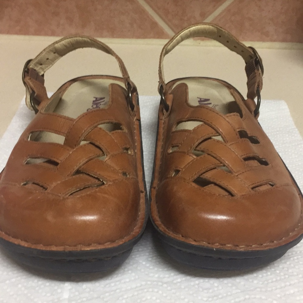 Alegria sling back shoes.